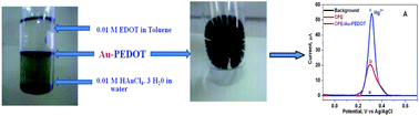 Graphical abstract: Anodic stripping voltammetric detection of mercury(ii) using Au-PEDOT modified carbon paste electrode