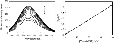 Graphical abstract: A novel approach for rapid determination of vitamin B12 in pharmaceutical preparations using BSA-modified gold nanoclusters