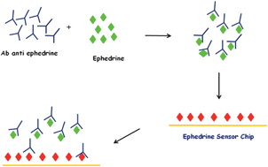 Graphical abstract: A surface plasmon resonance-based biochip to reveal traces of ephedrine