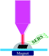 Graphical abstract: Biomagnetic glass beads for protein separation and detection based on surface-enhanced Raman scattering