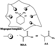 Graphical abstract: Flow through potentiometric sensors based on molecularly imprinted polymers for selective monitoring of mepiquat residue, a quaternary ammonium herbicide