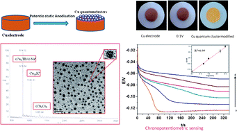 Graphical abstract: Copper quantum cluster-polypyrrole composite film based zero current chronopotentiometric sensor for glutathione