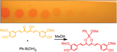 Graphical abstract: A simple and effective colorimetric technique for the detection of boronic acids and their derivatives