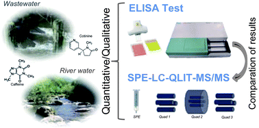 Graphical abstract: Two new competitive ELISA methods for the determination of caffeine and cotinine in wastewater and river waters