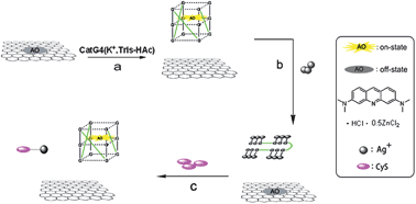 Graphical abstract: Ag+ and cysteine detection by Ag+–guanine interaction based on graphene oxide and G-quadruplex DNA