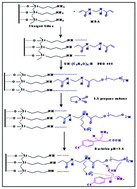 Graphical abstract: Water-compatible surface imprinting of ‘baclofen’ on silica surface for selective recognition and detection in aqueous solution