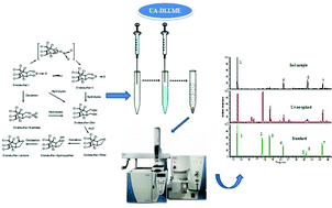 Graphical abstract: Optimization of UA-DLLME by experimental design methodologies for the simultaneous determination of endosulfan and its metabolites in soil and urine samples by GC–MS
