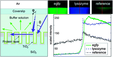 Graphical abstract: Resonant waveguide grating (RWG): overcoming the problem of angular sensitivity by conical, broad-band illumination for fluorescence measurements