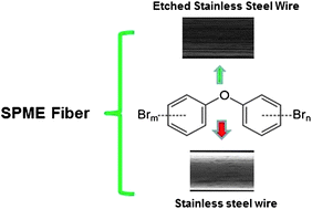 Graphical abstract: Sensitive determination of polybrominated diphenyl ethers in environmental water samples with etched stainless steel wire based on solid-phase microextraction prior to gas chromatography-mass spectrometry