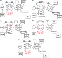 Graphical abstract: Quantitative analysis of ractopamine in beef using automated online sample preparation with liquid chromatography-tandem mass spectrometry