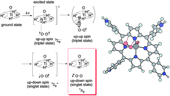 Graphical abstract: Photo-excitation energy transfer between a titanium(iv)–porphyrin complex and oxygen molecule