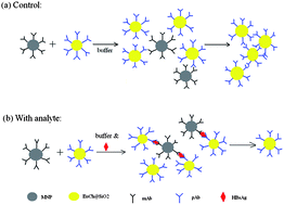 Graphical abstract: Preparation of immuno-probes based on europium-chelate-adsorbed silica nanoparticles and magnetic nanoparticles and their application in detection of hepatitis B surface antigen