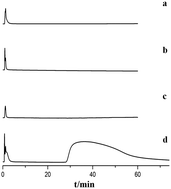 Graphical abstract: Screening active components acting on α1A adrenergic receptors from agrimony using a Sprague-Dawley rat prostate cell membrane chromatography online coupled HPLC/MS method