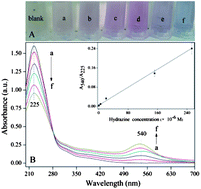 Graphical abstract: A facile and one-step colorimetric determination of hydrazine during formation of size-controlled amidosulfonic acid capped gold nanoparticles