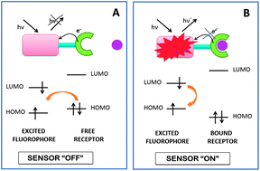 Graphical abstract: Rhodamine and BODIPY chemodosimeters and chemosensors for the detection of Hg2+, based on fluorescence enhancement effects