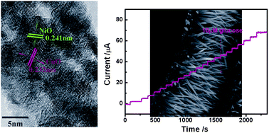 Graphical abstract: Mixed Ni–Cu-oxide nanowire array on conductive substrate and its application as enzyme-free glucose sensor