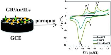 Graphical abstract: Nanocomposite of graphene based sensor for paraquat: Synergetic effect of nano-gold and ionic liquids on electrocatalysis