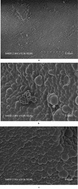 Graphical abstract: Preparation and application of acrylamide molecularly imprinted composite solid-phase extraction materials