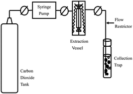 Graphical abstract: Development and validation of analytical method for determination of total urinary antimony by chelation in supercritical carbon dioxide using fluorinated chelating agents