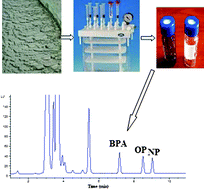 Graphical abstract: Purification and determination of bisphenol A and alkylphenol in river sediments by high performance liquid chromatography with fluorescence detection