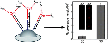 Graphical abstract: Fabricating three-dimensional hydrogel oligonucleotide microarrays to detect single nucleotide polymorphisms