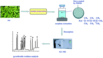 Graphical abstract: New sorptive extraction method based on polydimethylsiloxane sieve combined with GC-MS for determination of pyrethroid residues in tea