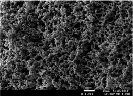 Graphical abstract: Preparation of a novel skeleton weak anion-exchange monolith by single electron transfer-living radical polymerization for protein separation in high performance liquid chromatography