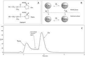 Graphical abstract: Chromatographic behavior of the biologically active proline derivative captopril on particulate, monolithic and core–shell narrow bore columns
