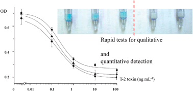 Graphical abstract: Rapid immunochemical tests for qualitative and quantitative determination of T-2 and HT-2 toxins
