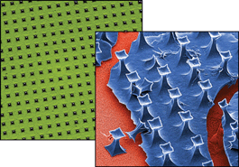 Graphical abstract: Rapid fabrication of nanoporous membrane arrays and single-pore membranes from parylene C