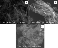 Graphical abstract: Polypyrrole nanotubes–polyaniline composite for DNA detection using methylene blue as intercalator