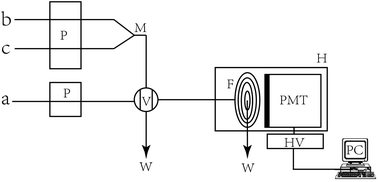 Graphical abstract: A novel flow injection chemiluminescence method for the determination of ractopamine in urine by using trivalent copper