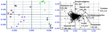 Graphical abstract: Toxic effects of Euphorbia pekinensis Rupr. and development of a validated UPLC/MS/MS method for profiling of urine metabolic changes