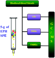 Graphical abstract: Fast chemical fingerprinting analysis for biodiesel/diesel blends using commercial solid phase extraction (SPE) cartridge and gas chromatography–mass spectrometry (GC–MS)
