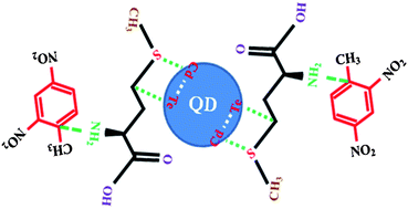 Graphical abstract: Improved sensing performance from methionine capped CdTe and CdTe/ZnS quantum dots for the detection of trace amounts of explosive chemicals in liquid media