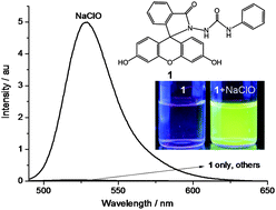 Graphical abstract: A fluorescein semicarbazide-based fluorescent probe for highly selective and rapid detection of hypochlorite in aqueous solution