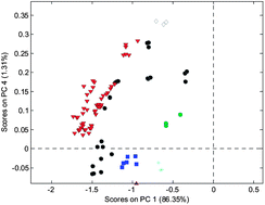 Graphical abstract: Expeditious identification and semi-quantification of Panax ginseng using near infrared spectral fingerprints and multivariate analysis