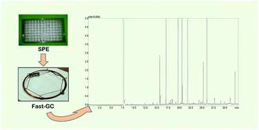 Graphical abstract: Elaidic acid, vaccenic acid and rumenic acid (c9,t11-CLA) determination in human plasma phospholipids and human milk by fast gas chromatography