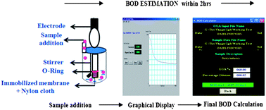 Graphical abstract: Rapid monitoring and assessment of pollutional load in dairy waste water