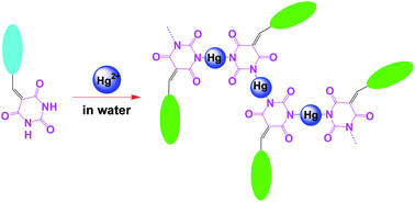 Graphical abstract: Specific ratiometric fluorescent sensing of Hg2+via the formation of mercury(ii) barbiturate coordination polymers