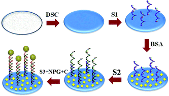 Graphical abstract: Facile and sensitive paper-based chemiluminescence DNA biosensor using carbon dots dotted nanoporous gold signal amplification label