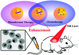 Graphical abstract: Combined near-IR photothermal therapy and chemotherapy using gold-nanorod/chitosan hybrid nanospheres to enhance the antitumor effect