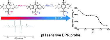 Graphical abstract: A phosphonated triarylmethyl radical as a probe for measurement of pH by EPR