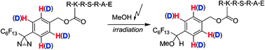 Graphical abstract: Isotope-coded, fluorous photoaffinity labeling reagents