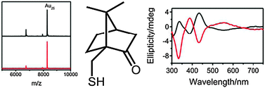 Graphical abstract: Ligand dependence of the synthetic approach and chiroptical properties of a magic cluster protected with a bicyclic chiral thiolate