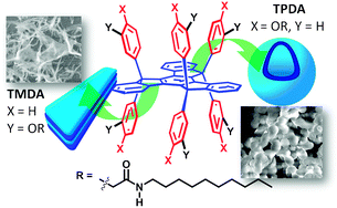 Graphical abstract: Manipulating the nanostructure of organogels generated from molecules with a 3-dimensional truxene core