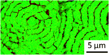 Graphical abstract: Biomimetic approach to forming chitin/aragonite composites