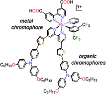 Graphical abstract: Three is not a crowd: efficient sensitization of TiO2 by a bulky trichromic trisheteroleptic cycloruthenated dye