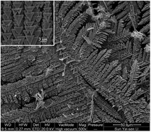 Graphical abstract: Super-large dendrites composed of trigonal PbO2 nanoplates with enhanced performances for electrochemical devices