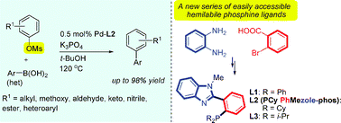 Graphical abstract: An efficient palladiumâbenzimidazolyl phosphine complex for the SuzukiâMiyaura coupling of aryl mesylates: facile ligand synthesis and metal complex characterization
